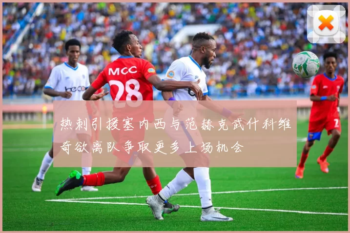 热刺引援塞内西与范赫克武什科维奇欲离队争取更多上场机会
